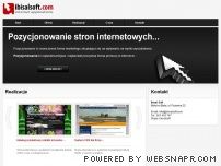 Firma IbisalSoft - Tworzenie stron internetowych